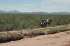 DSC_6093.JPG